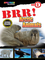 BRR! Arctic Animals: Level 1