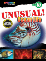 UNUSUAL! Ocean Life: Level 3