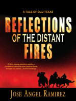 Reflections of the Distant Fires