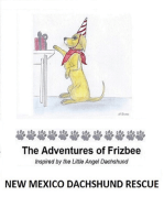 The Adventures of Frizbee