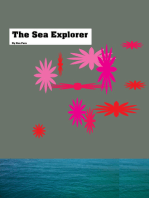 The Sea Explorer