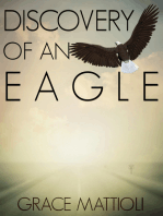 Discovery of an Eagle