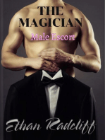 The Magician, (Male Escort)