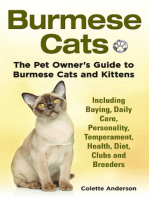 Burmese Cats, The Pet Owner’s Guide to Burmese Cats and Kittens Including Buying, Daily Care, Personality, Temperament, Health, Diet, Clubs and Breeders