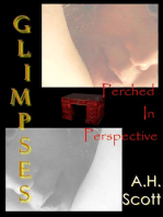 GLIMPSES: Perched In Perspective
