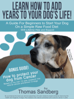 Learn How to Add Years to Your Dog’s Life!