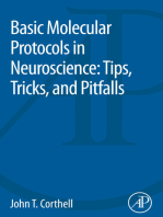 Basic Molecular Protocols in Neuroscience: Tips, Tricks, and Pitfalls
