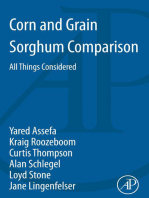 Corn and Grain Sorghum Comparison: All Things Considered