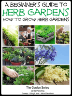 A Beginner’s Guide to Herb Gardening: How to Grow Herb Gardens