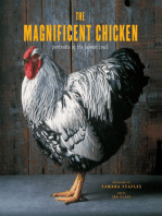 The Magnificent Chicken: Portraits of the Fairest Fowl