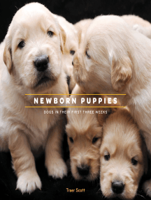 newborn puppies actions