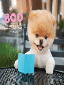boo the life of the world's cutest dog