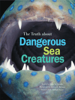 The Truth About Dangerous Sea Creatures