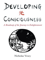 Developing Consciousness: A Roadmap of the Journey to Enlightenment