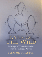 Eyes of the Wild