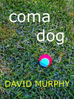 Coma Dog