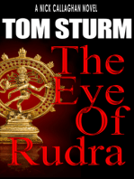 The Eye of Rudra