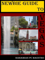 Newbie Guide To Vegas