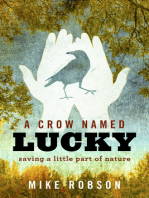 A Crow Named Lucky: Saving a Little Part of Nature