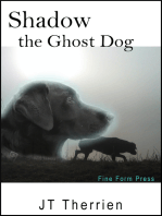 Shadow the Ghost Dog