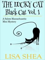 The Lucky Cat - Black Cat Vol. 1 - A Salem Massachusetts Mini Mystery