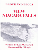 Brock and Becca: View Niagara Falls