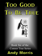 Too Good To Be True: Book Six of the Connor True Series