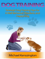 Dog Training