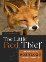 The Little Red Thief: The True Story of Foxyloxy - An Orphaned Fox Cub