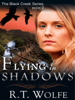 Flying in Shadows (The Black Creek Series, Book 2)