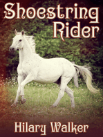 Shoestring Rider