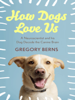 How Dogs Love Us: a neuroscientist and his dog decode the canine brain