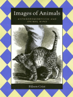 Images Of Animals