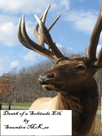 Death of a Solitude Elk