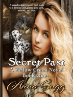 Secret Past, A Yellow Creek Novel