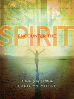 Encounter the Spirit