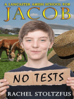 A Lancaster Amish School for Jacob