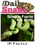 The Daily Snake: Snake Facts for Kids in a Newspaper-Style. Snake Books for Kids.