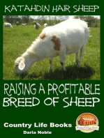 Katahdin Hair Sheep: Raising a Profitable Breed of Sheep