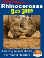 Rhinoceroses For Kids