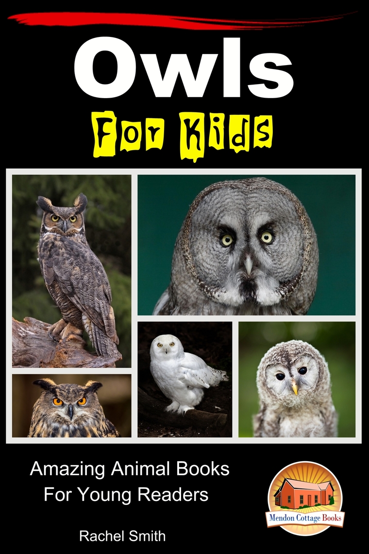 Owls For Kids: Amazing Animal Books For Young Readers | Scribd