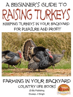 A Beginner’s Guide to raising Turkeys