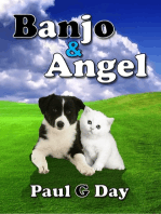 Banjo & Angel