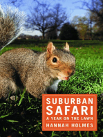 Suburban Safari: A Year on the Lawn