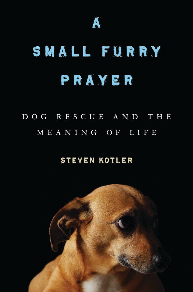 A Small Furry Prayer by Steven Kotler (Ebook) Read free for 30 days