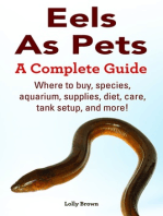 Eels As Pets. Where to buy, species, aquarium, supplies, diet, care, tank setup, and more! A Complete Guide