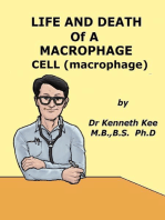 Life And Death Of A Macrophage Cell (Macrophage)