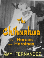 The Chihuahua