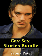 Gay Sex Stories Bundle