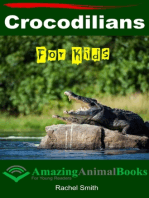 Crocodilians For Kids